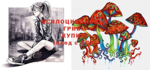 дурь Белокуриха